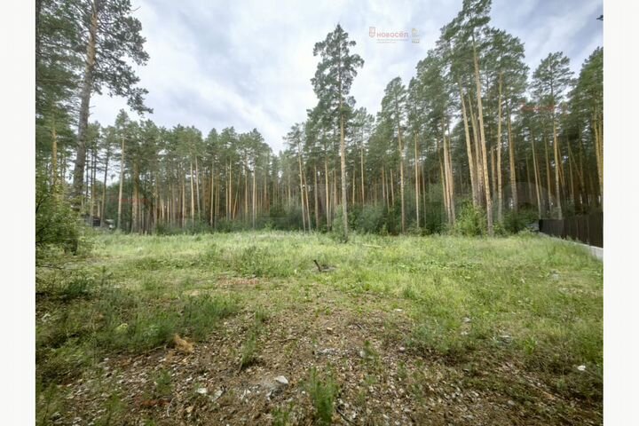 Участок 33 сот. (ИЖС)