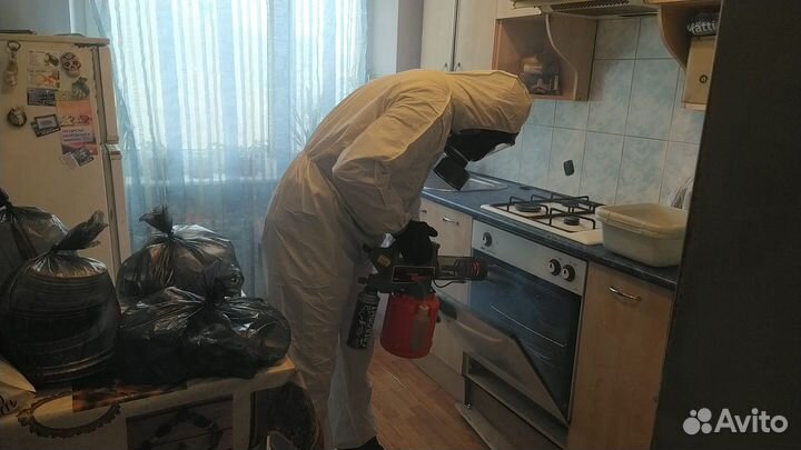 Мастер дезинсектор, за час избавит от насекомых