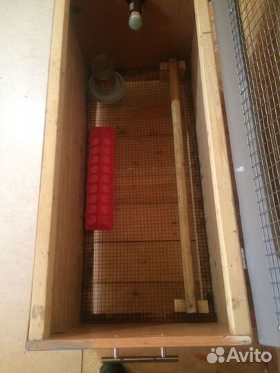 Брудер для цыплят