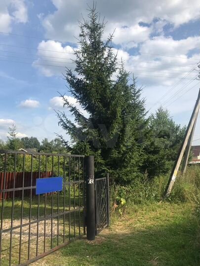 Участок 12 сот. (СНТ, ДНП)