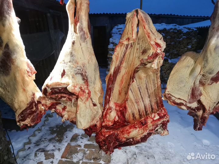 Продам мясо телятина деревенская)