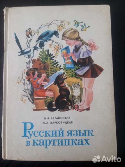 Русский язык в картинках И.В.Баранников