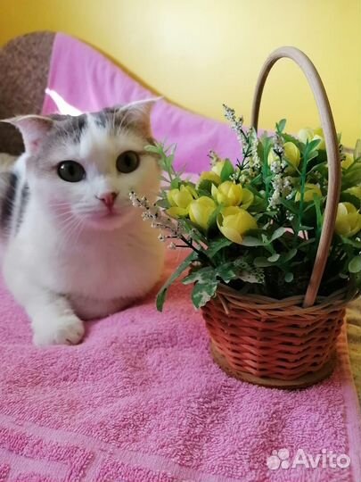 Луна верит в чудо