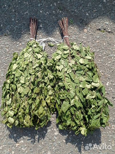 Веники для бани и травы