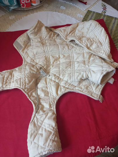 Одежда для животных