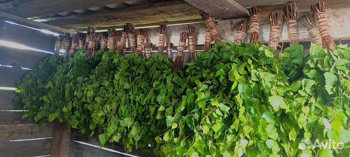 Веник для бани берёзовый