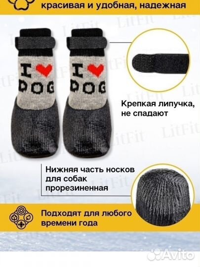 Одежда для собак