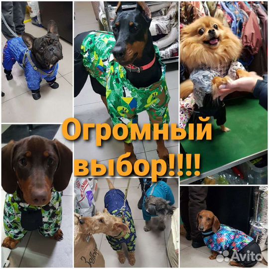 Купить одежду для собак, недорого, дешёвый интернет-магазин собачьей одежды в Москве, цены