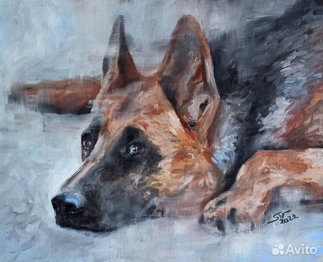 Картина маслом Кошки и Собаки Портрет на заказ