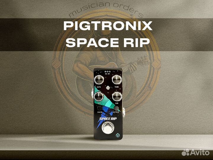 Pigtronix Space Rip