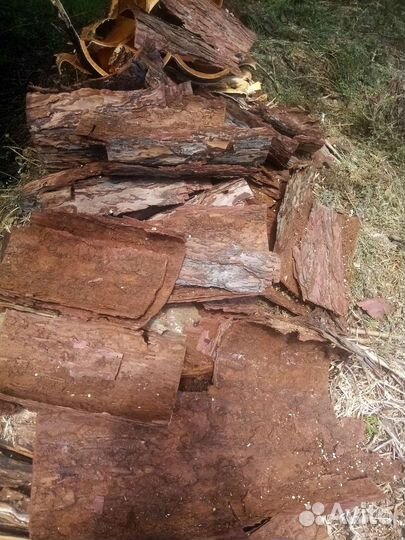 Кора лиственницы, сосны