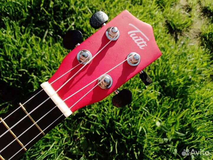 Укулеле концерт