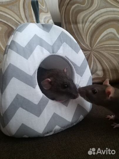 Гамак лежанка домик для грызунов