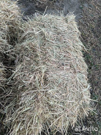 Сено в тюках