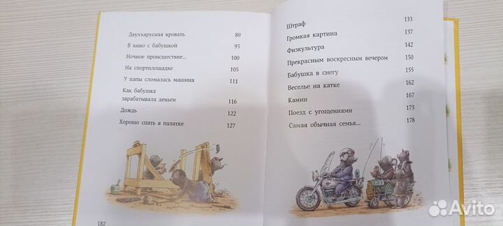 Бёрни Бос. Озорная семейка. Художник Де Беер Ханс