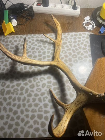 Ретро винтаж вешалка рога оленя