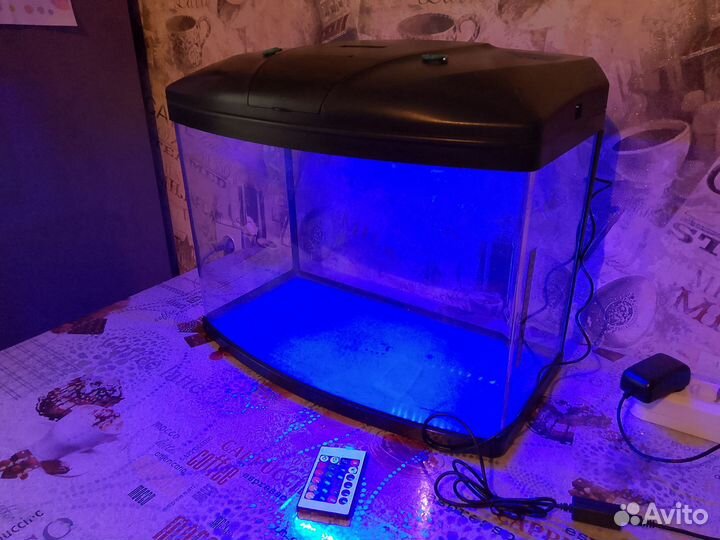 Аквариум