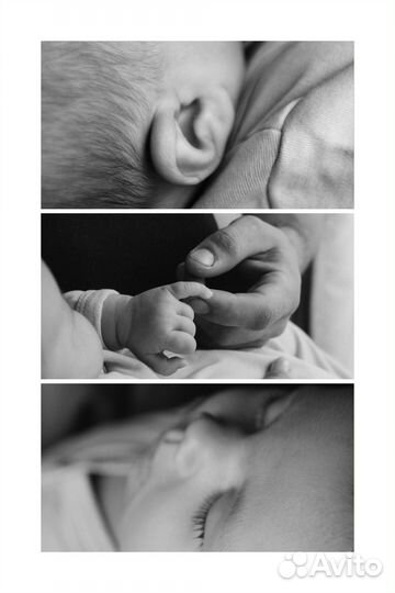 Фотограф NEW born