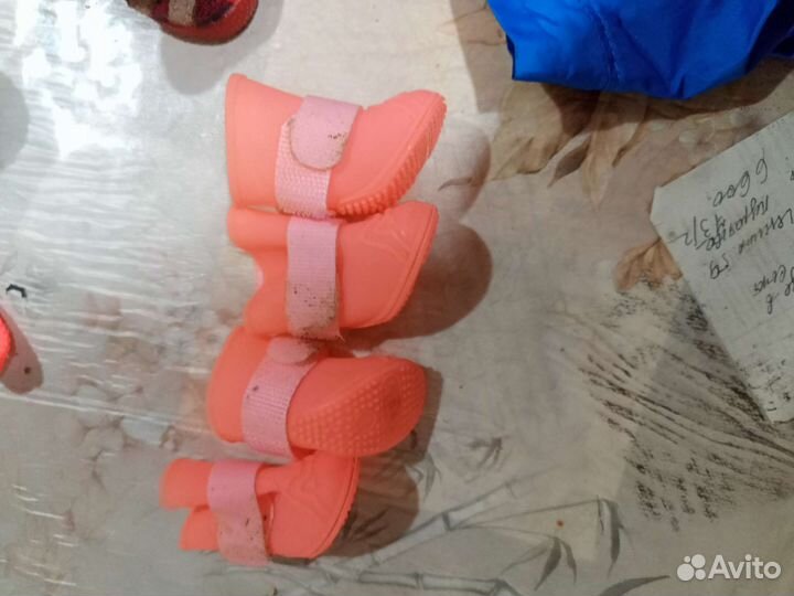 Одежда для маленьких собак