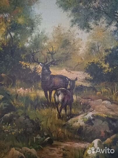 Картины 2, масло холст