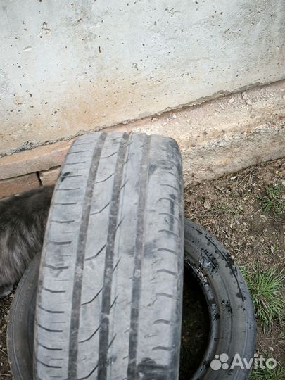 Continental ContiPremiumContact 2 195/55 R15