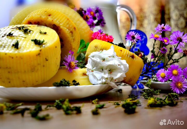 Сыр домашний из козьего молока