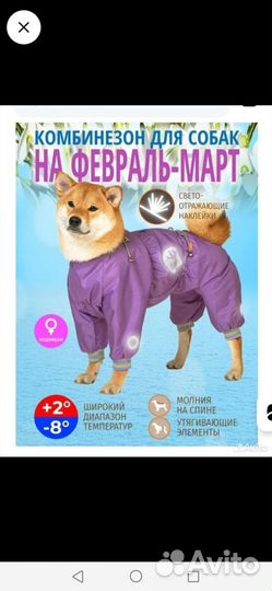 Одежда для средних собак