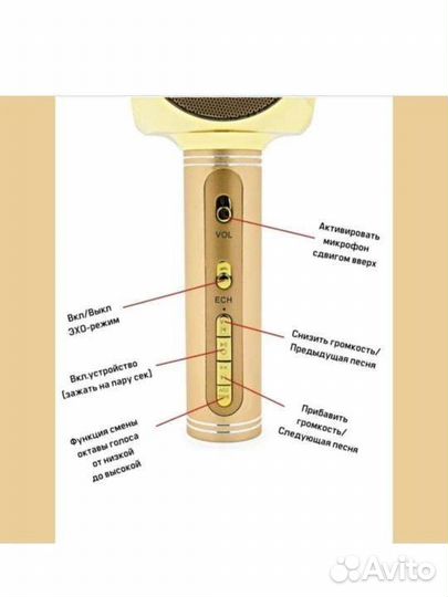 Микрофон- колонка