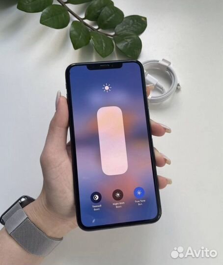 iPhone Xs Max, 256 ГБ