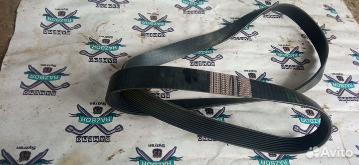 Поликлиновой ремень PL 2845 / 1120 L