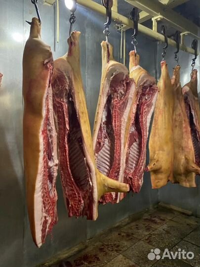 Мясо свинина домашняя