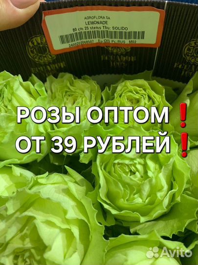 Розы опт Ярцево