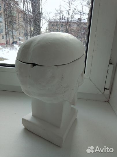 Череп интерьерный, череп кашпо, шкатулка