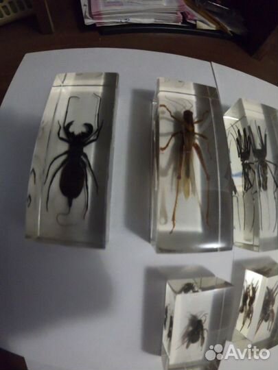 Продам номера коллекции 