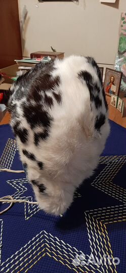 Шапочка детская меховая из кролика 