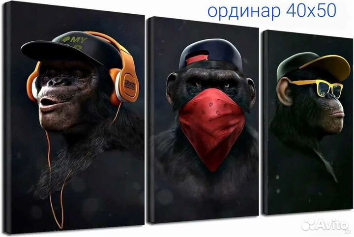 Картина три обезьяны на холсте премиум