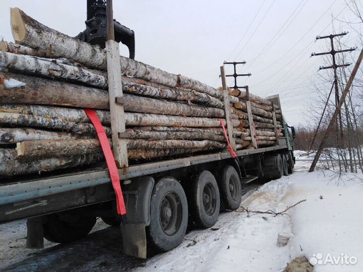 Береза, осина кругляк. Лес на лежневку