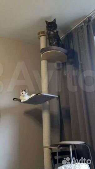 Настенная когтеточка домик для кошки