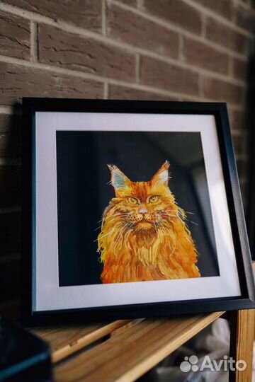 Кот мейн-кун в добрые руки (картина, акварель)