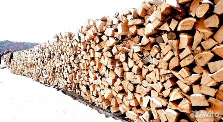 Дрова без воды