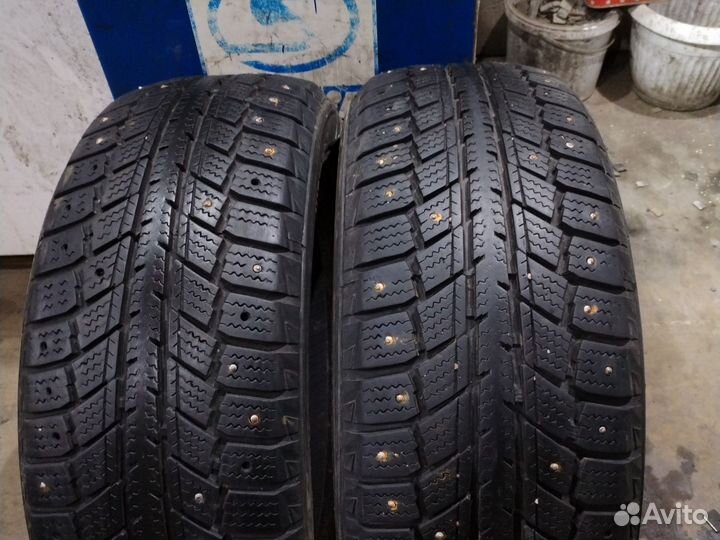 Zeetex WP1000 195/55 R15