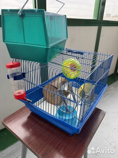 Клетка для джунгарского хомяка