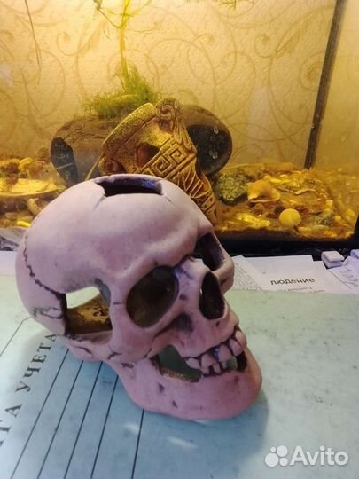 Грот для аквариума