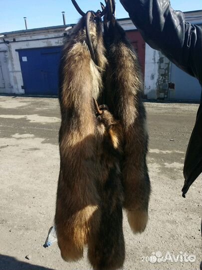 Шкуры енота