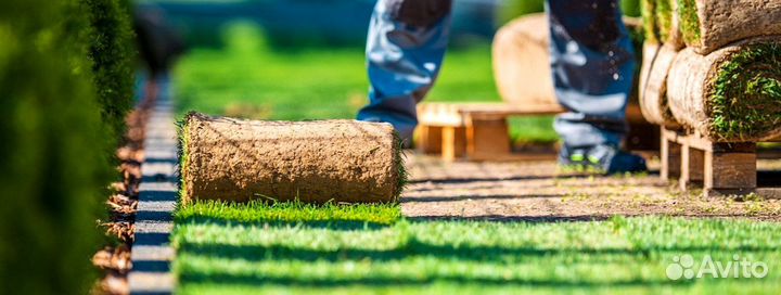 Укладка рулонных газонов под ключ