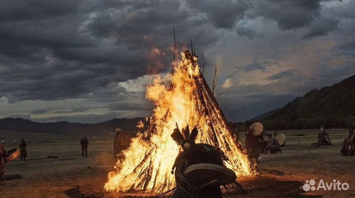 Чай пуэр « Космос шаманов » шмн13806