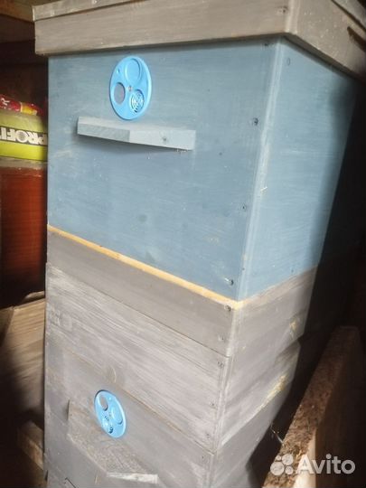 Улей для пчел Дадановский