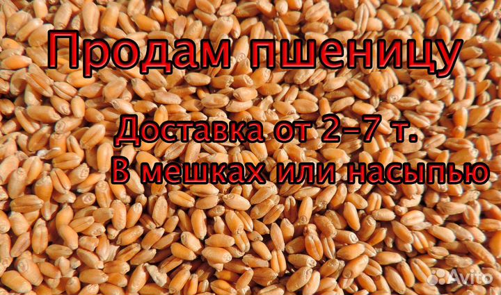 Доставка.Пшеница, ячмень, горох, крупы