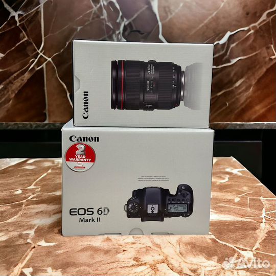 Canon EOS 6D Mark II Body + Canon EF 24-105mm f/4