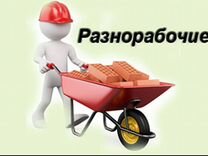 Разнорабочий в г.Боровичи